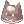 圖標