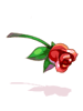 images_item_19726