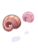images_item_19741