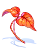 images_item_312500