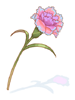 images_item_312518