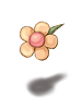 images_item_19552