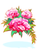 images_item_19800