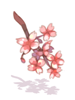 images_item_20043