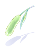 images_item_20192