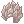 20250