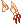 20262