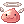 20425