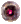 29534