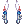 31529