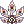 31807